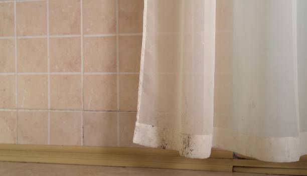 Best Air Quality Testing for Mold Spores  in Earlham, IA