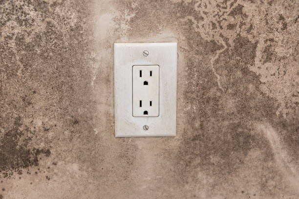 Best Mold Prevention Services  in Earlham, IA
